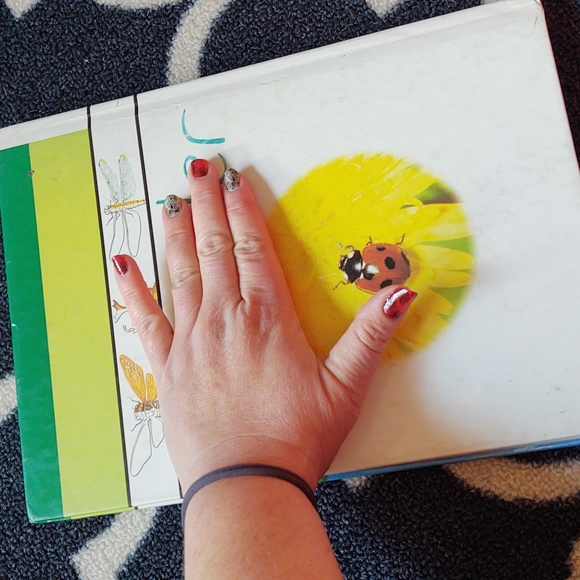 Time-Life A Child's First Library of Learning - Insect World Book - 1988 - Picture 10 of 12